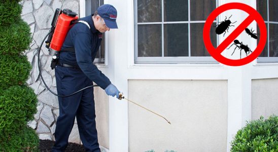 Alaybey Tahtakurusu İlaçlama böcek ilaçlama ve haşere kontrolü — ilaclama-tr.com